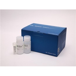 Spin Column RNA Concentration & Purification Kit