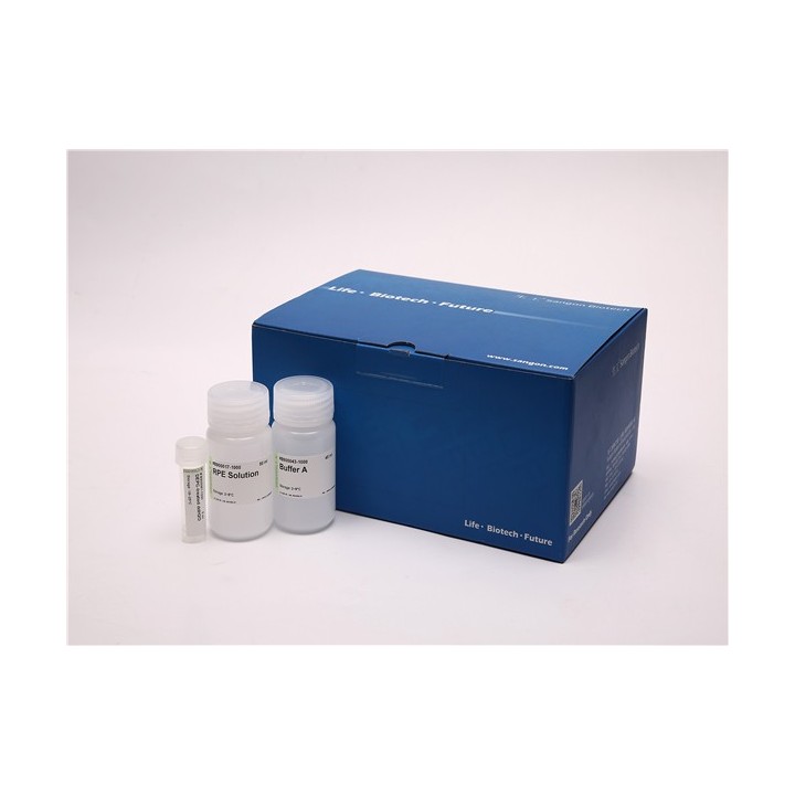 Spin Column RNA Concentration & Purification Kit