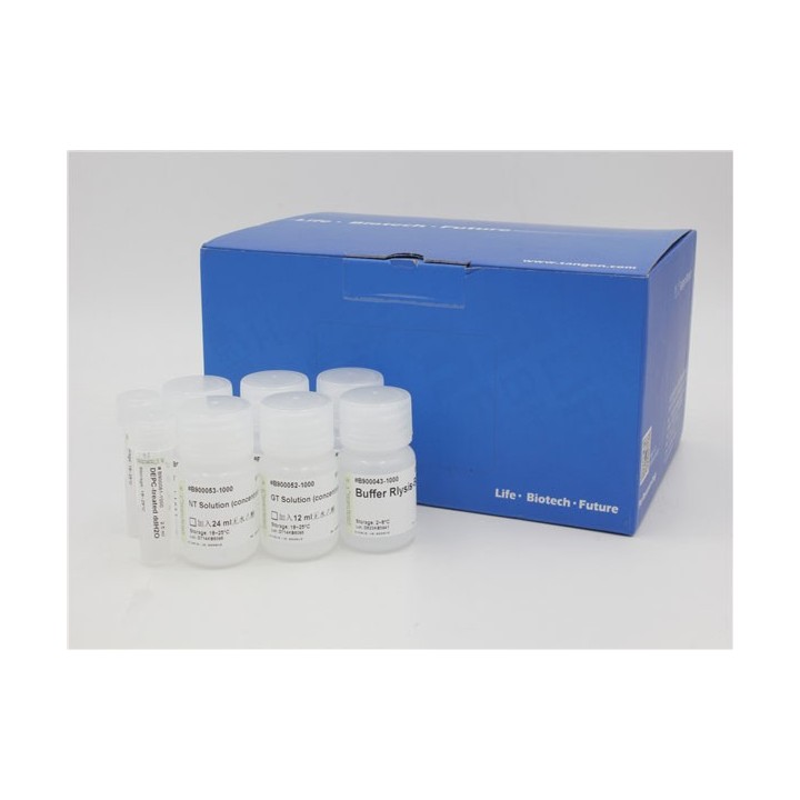 Spin Column Bacterial Total RNA Extraction Kit