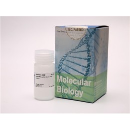 Surface RNase Decontamination Solution