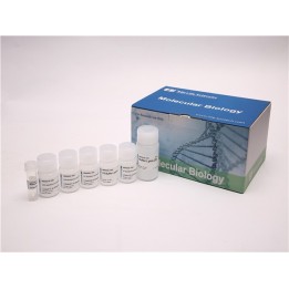 One-Step DNA/RNA Mini Extraction Kit