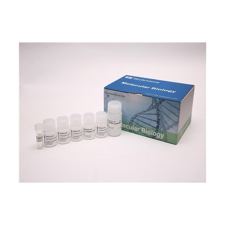 One-Step DNA/RNA Mini Extraction Kit