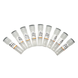 High-yield T7 RNA in vitro transcription kit