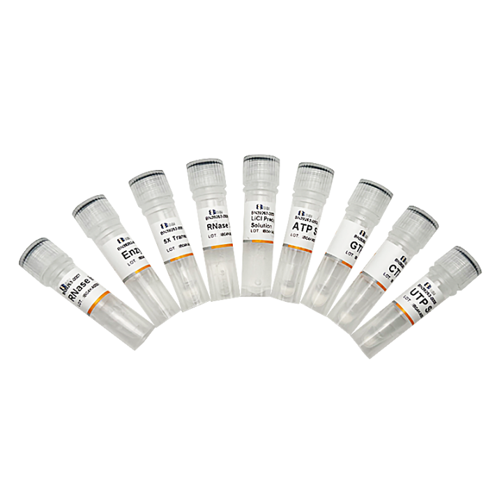 High-yield T7 RNA in vitro transcription kit