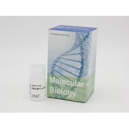 RNA-EZ Tissue RNA Stabilization Reagent (Room Temperature)