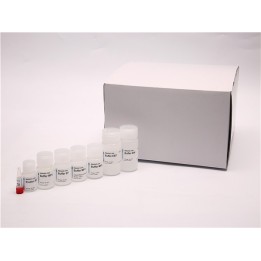 Ion Exchange Plasmid Purification Kit