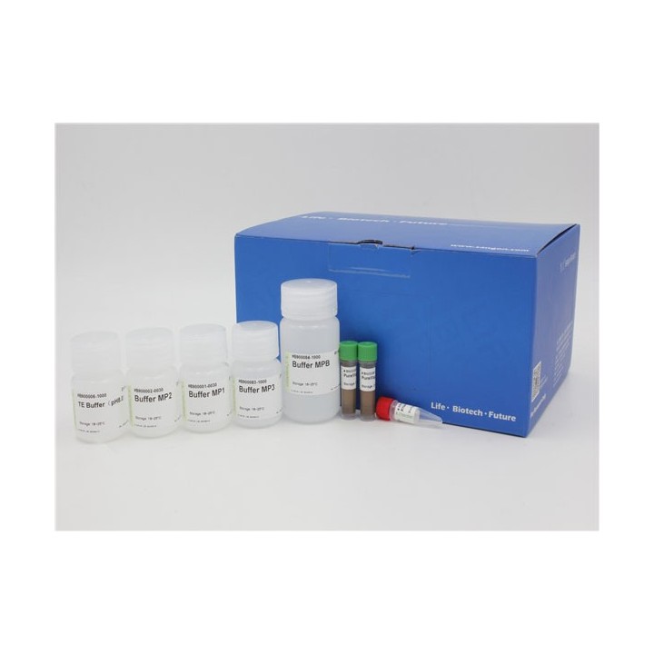 Magnetic Bead-based Plasmid DNA Miniprep Kit
