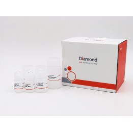 DiaSpin Plasmid DNA Miniprep Kit
