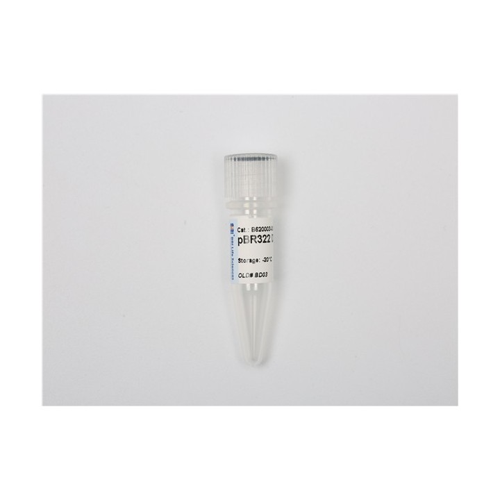 pBR322 plasmid DNA