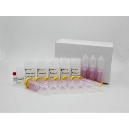 EZ-500 Column-Based Plasmid Mass Extraction Kit