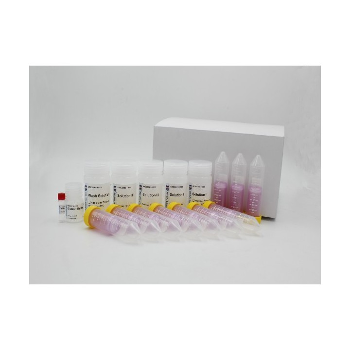 EZ-500 Column-Based Plasmid Mass Extraction Kit