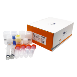 Enhanced Endotoxin-Free Plasmid Large-Scale Extraction Kit