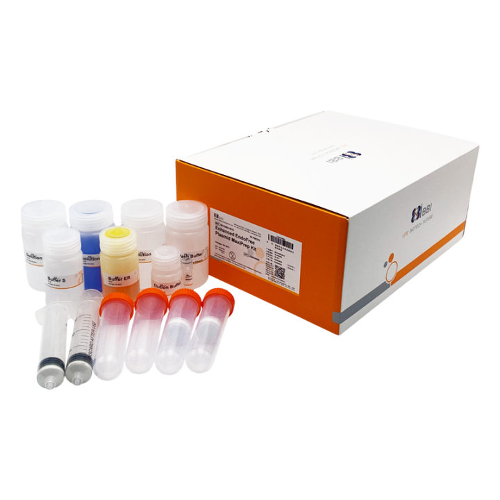 Enhanced Endotoxin-Free Plasmid Large-Scale Extraction Kit