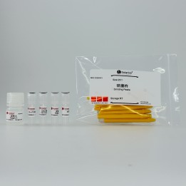 Tissue Direct PCR Kit