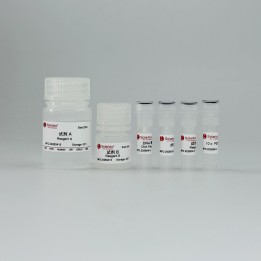 Blood Direct PCR Kit (Red Blood Cells Depleted)