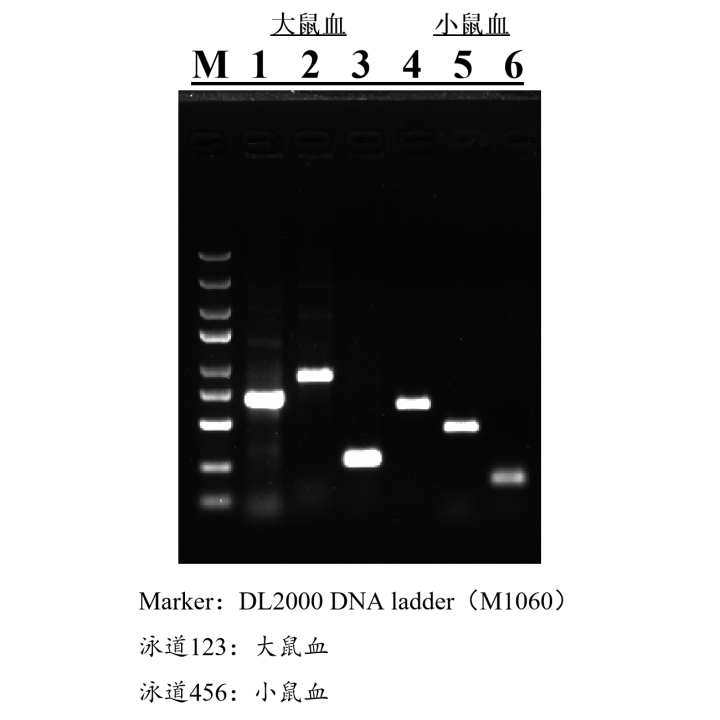Blood Direct PCR Kit (Red Blood Cells Depleted)