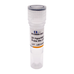 HyperMB One-Step RT-qPCR Probe Premix (UDG Plus)