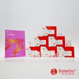 One Step SuperRT-PCR Mix Kit