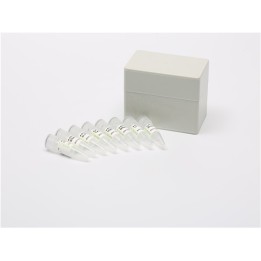 One-step RT-PCR Amplification Kit (M-MuLV)