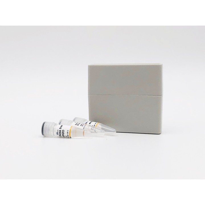 One-step reverse transcription fluorescent quantitative probe kit