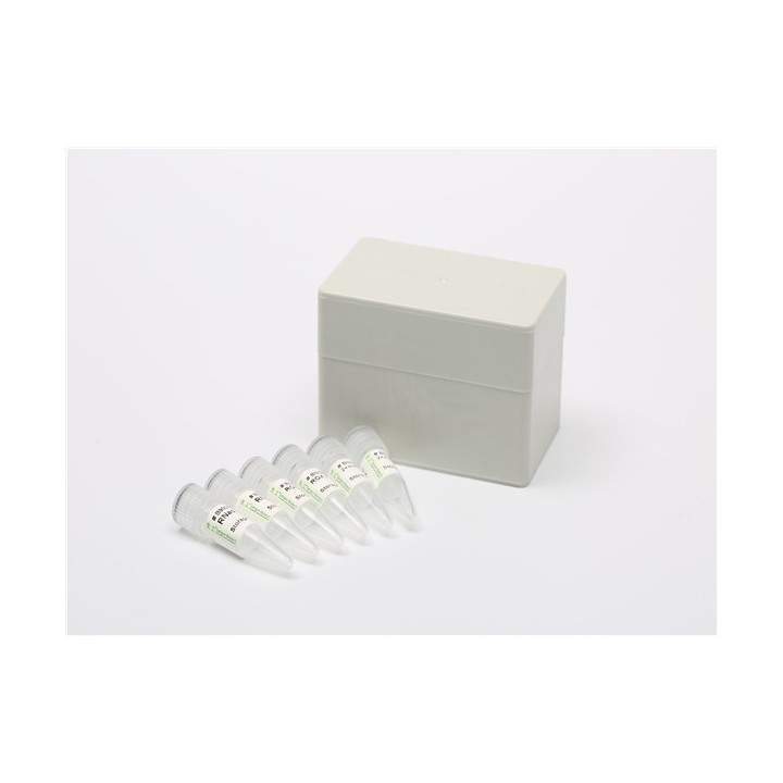miRNA Quantitative Real-Time PCR Kit (Dye Method)