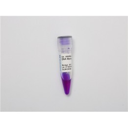DNA molecular weight standard Marker F (200~2000 bp)