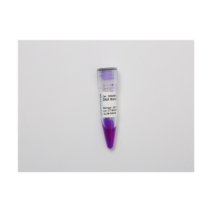 DNA molecular weight standard Marker F (200~2000 bp)