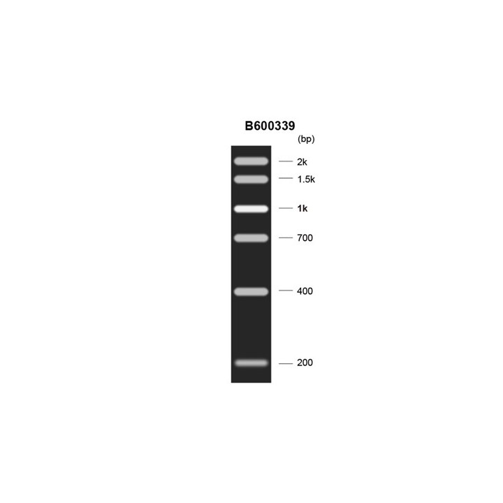 DNA molecular weight standard Marker F (200~2000 bp)