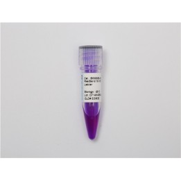 RealBand DNA Molecular Weight Standard Marker (100~10000 bp)