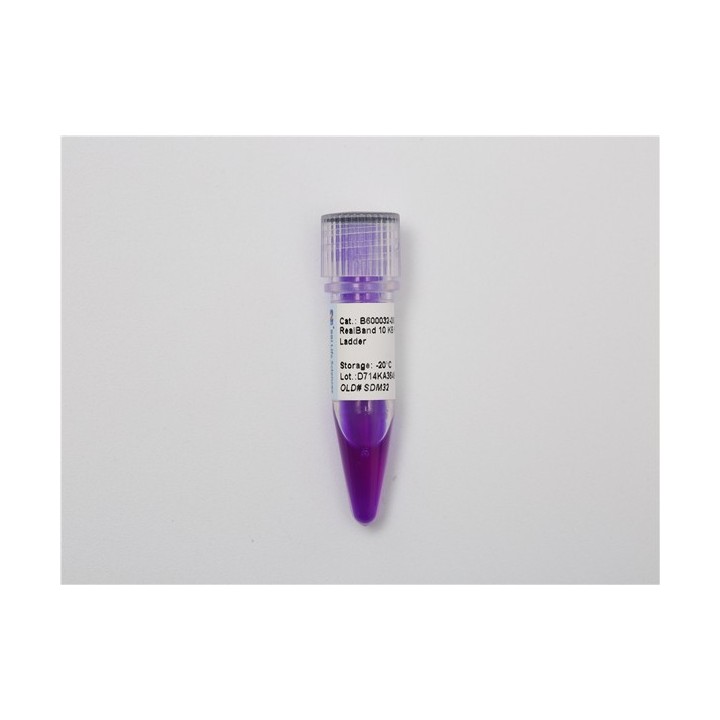 RealBand DNA Molecular Weight Standard Marker (100~10000 bp)