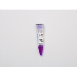DNA molecular weight standard marker L+ (100~3000 bp)