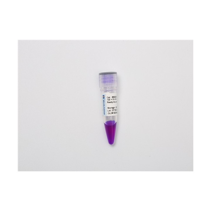 DNA molecular weight standard marker L+ (100~3000 bp)