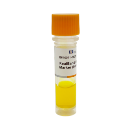 RealBand DNA Multiplex Marker (50~1500 bp)