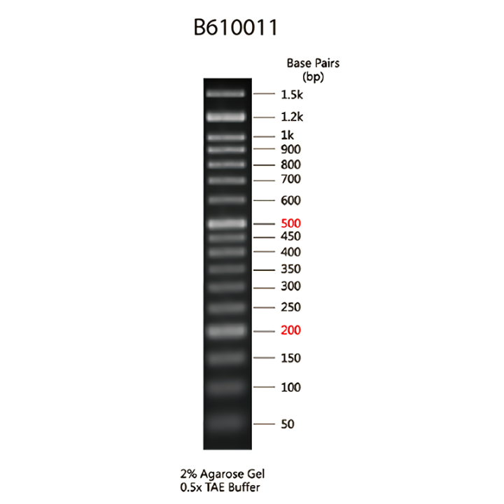 RealBand DNA Multiplex Marker (50~1500 bp)