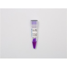 DNA Recombinant Marker F+ (200~2000 bp)