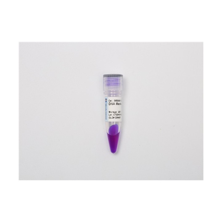 DNA Recombinant Marker F+ (200~2000 bp)