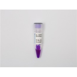 DNA Enrichment Marker C (100~1200 bp)