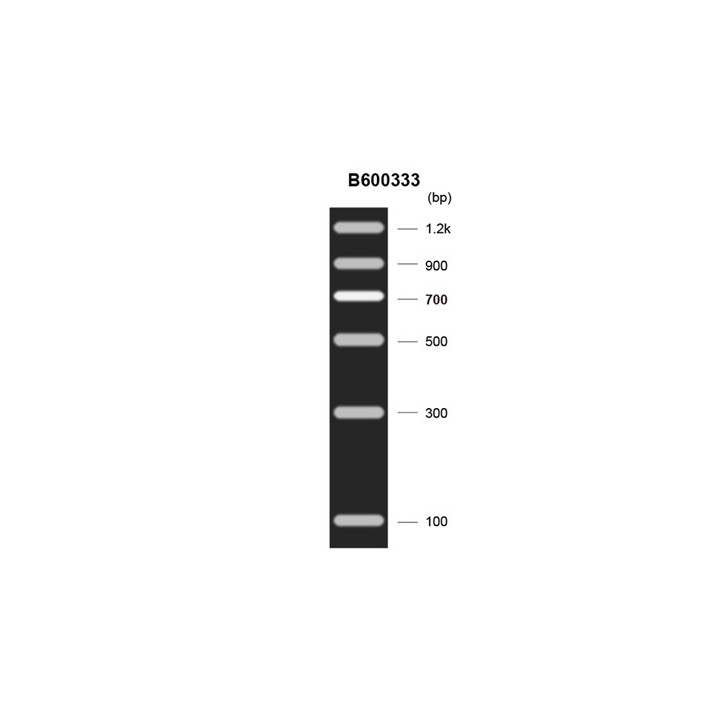 DNA Enrichment Marker C (100~1200 bp)