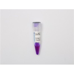 DNA Enrichment Marker E (200~1500 bp)