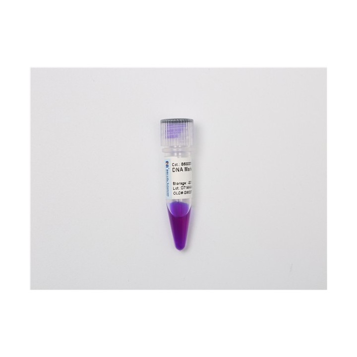 DNA Enrichment Marker E (200~1500 bp)