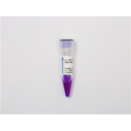 DNA Enrichment Marker M (100~3000 bp) ,Ready-to-use