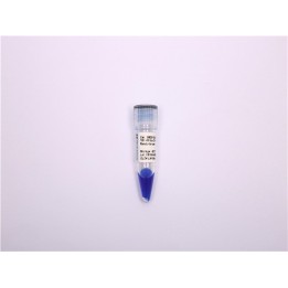 DNA molecular weight standard Marker J (150~1500 bp)
