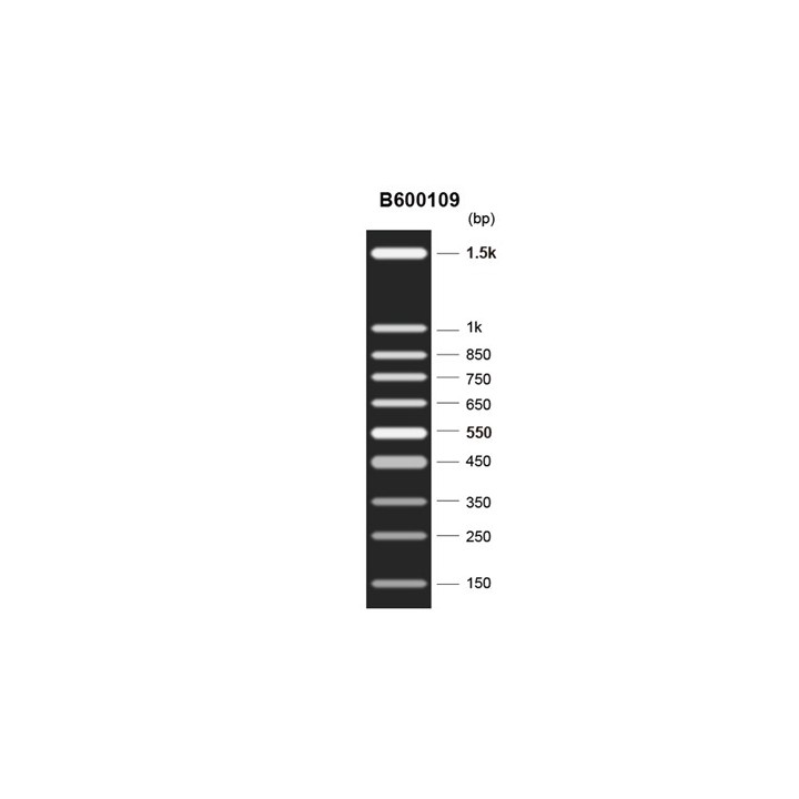 DNA molecular weight standard Marker J (150~1500 bp)