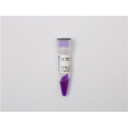 DNA molecular weight standard Marker K (100~1500 bp), Ready-to-use