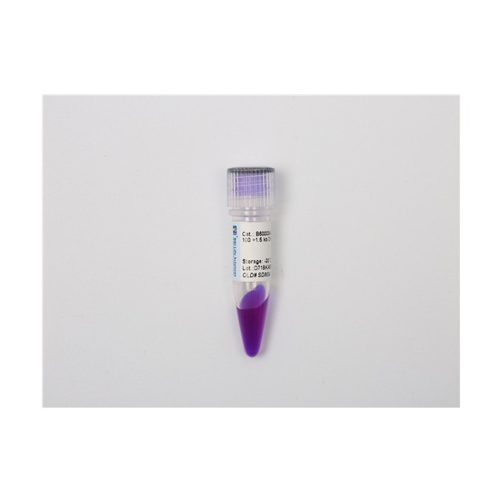DNA molecular weight standard Marker K (100~1500 bp), Ready-to-use