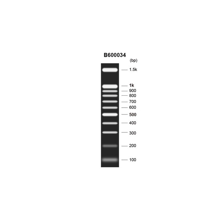 DNA molecular weight standard Marker K (100~1500 bp), Ready-to-use