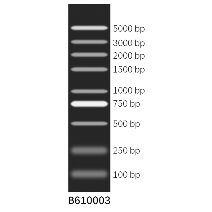 DNA molecular weight standard marker S (100~5000 bp)
