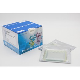 Precast-Glgel 4-20% Tris-Glycine electrophoresis precast gel, 15 wells