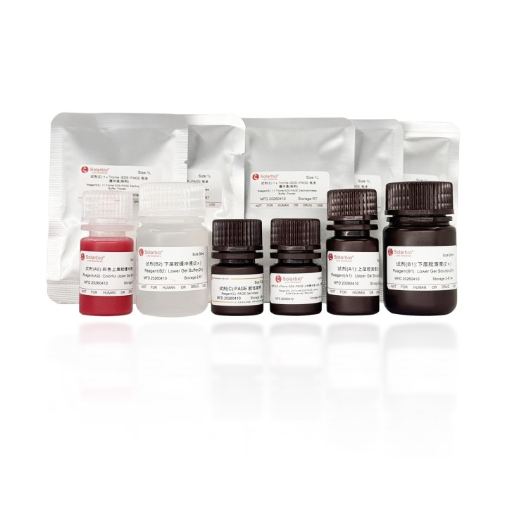 One-step color Tricine-PAGE gel rapid preparation and electrophoresis kit (10%)