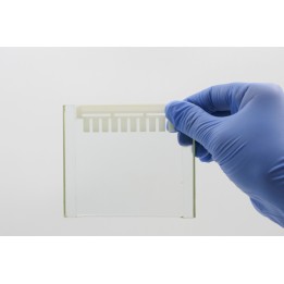 Precast-Glgel 12% Hepes non-denaturing electrophoresis precast gel, 10 wells